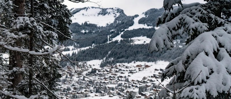 85478EF0-E4D7-4C67-AE91-D564207A6F2A